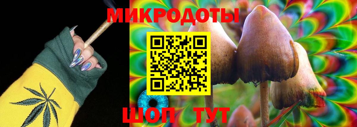 Псилоцибиновые грибы Psilocybine cubensis Кудрово